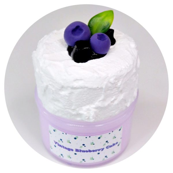 Vintage Blueberry Cake DIY Slime Kit Supply